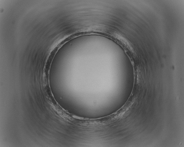 X0000070380876200606231710