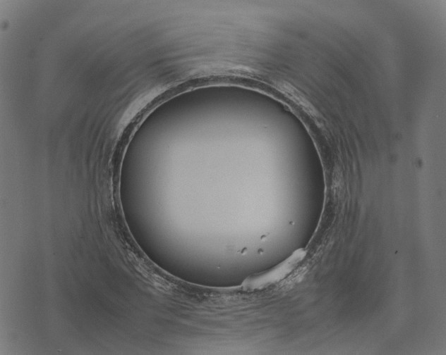 X0000070380877200606231710