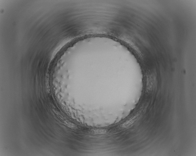 X0000070380878200606231710