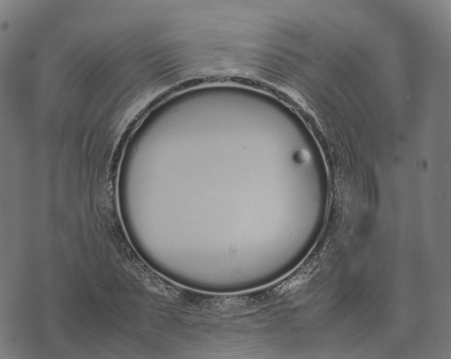 X0000070380879200606231710