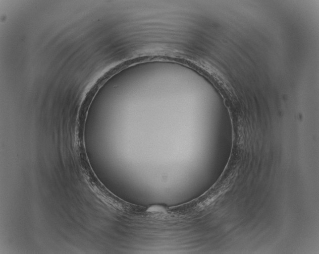 X0000070380880200606231710