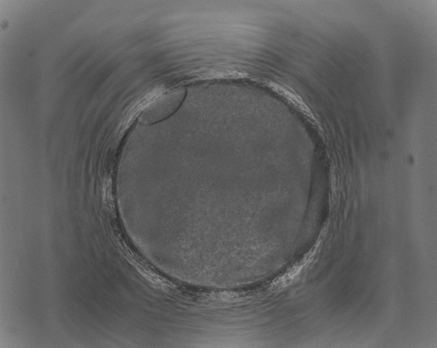 X0000070380881200606231709