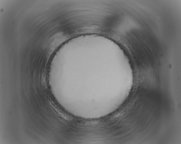 X0000070380882200606231709