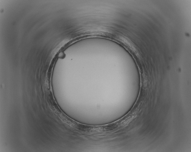 X0000070380883200606231709