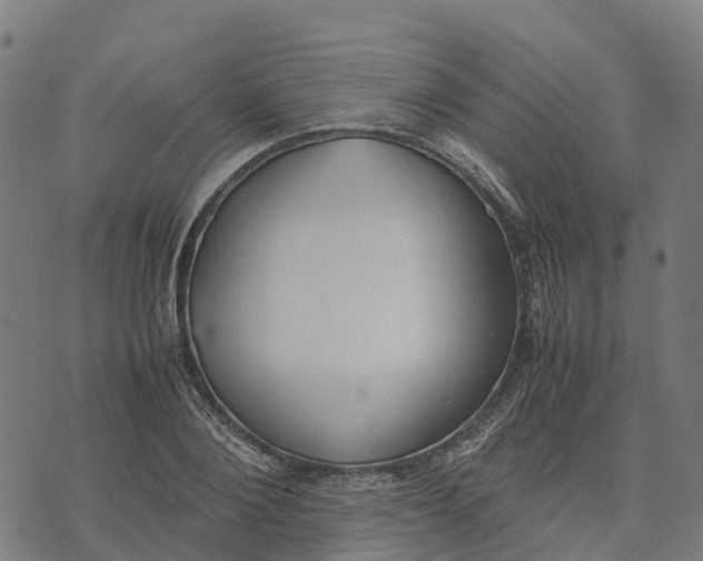 X0000070380884200606231709