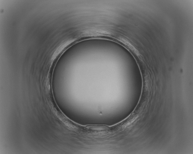 X0000070380885200606231709