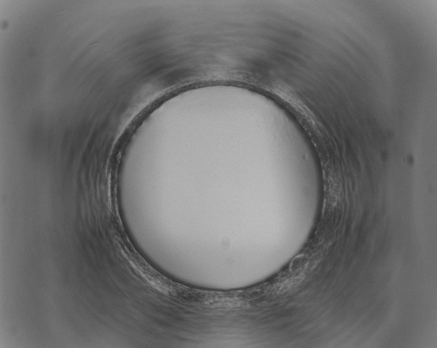 X0000070380886200606231709