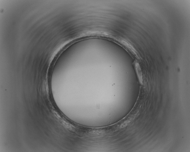 X0000070380888200606231709