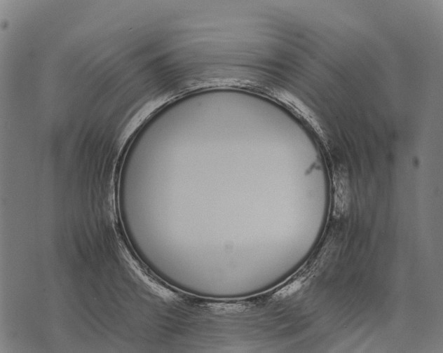 X0000070380890200606231709