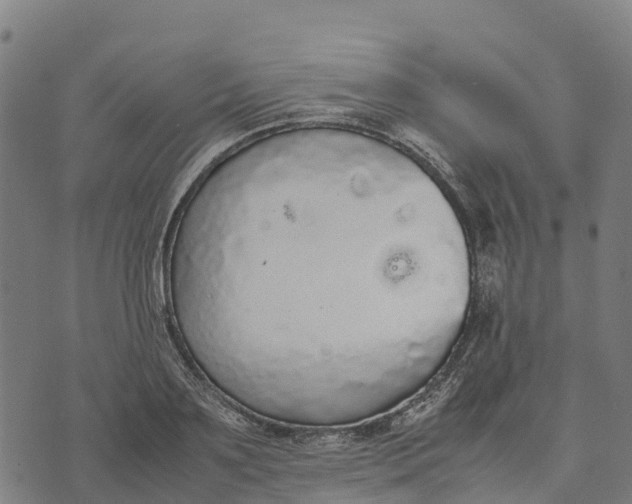 X0000070380891200606231709