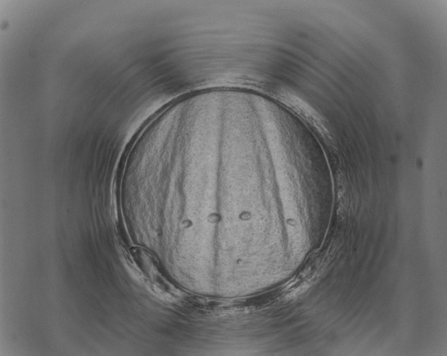 X0000070380892200606231709