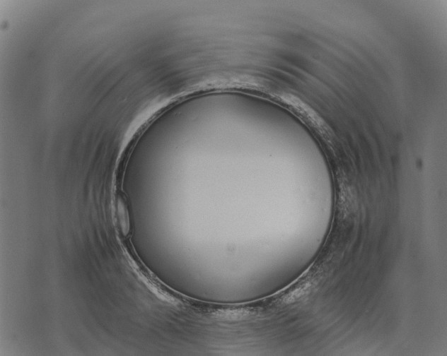 X0000070380894200606231709