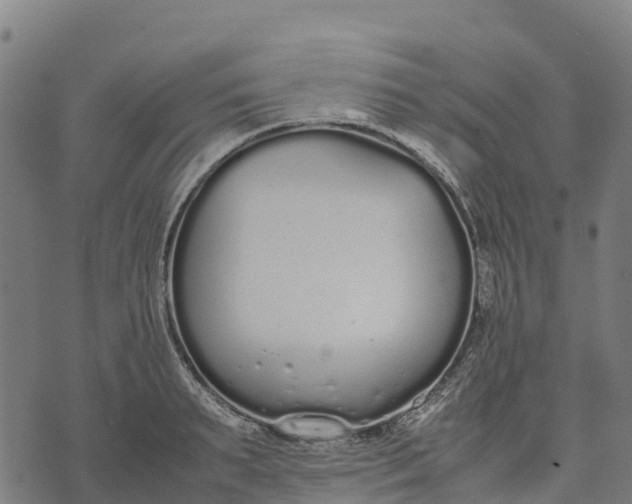 X0000070380895200606231709