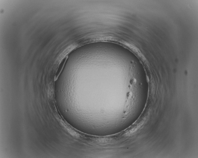 X0000070380897200606231709