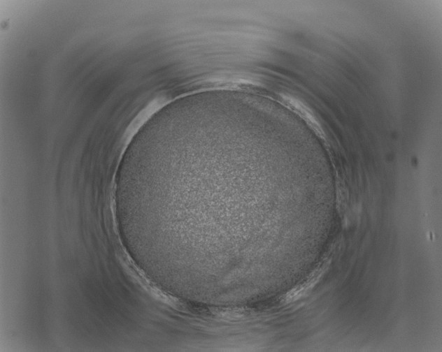 X0000070380899200606231709