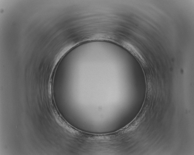 X0000070380900200606231709