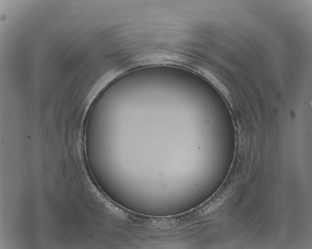 X0000070380901200606231709