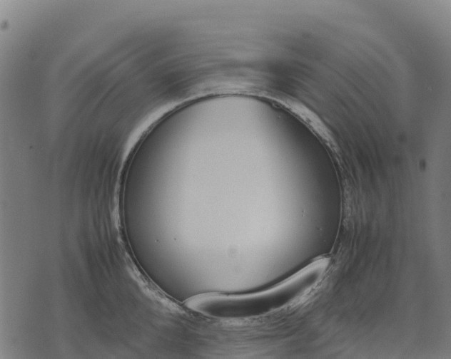 X0000070380904200606231709