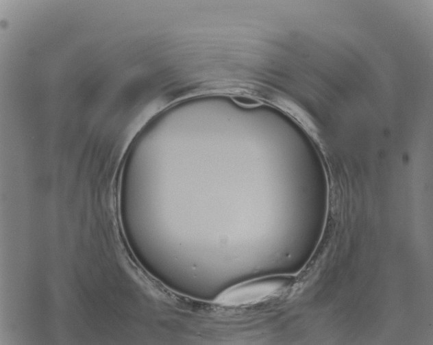 X0000070380907200606231709