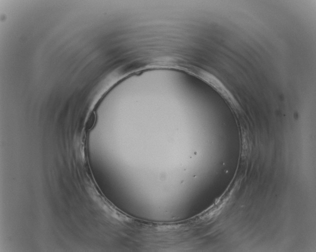 X0000070380908200606231709