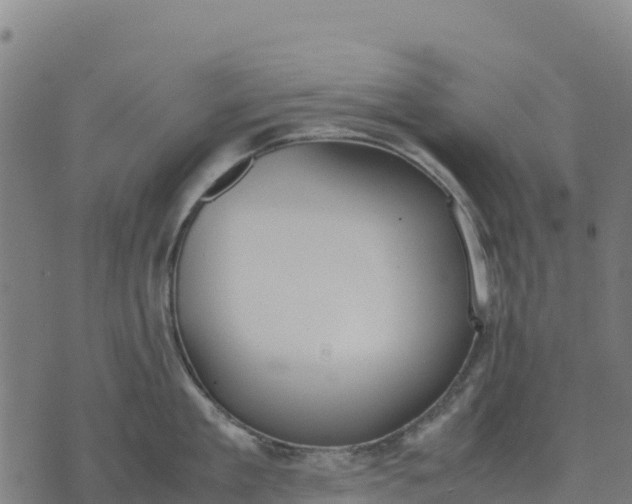 X0000070380909200606231709