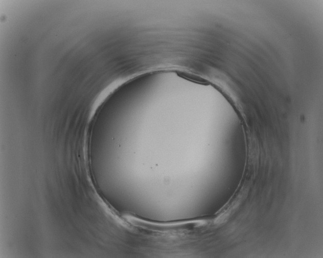 X0000070380910200606231709