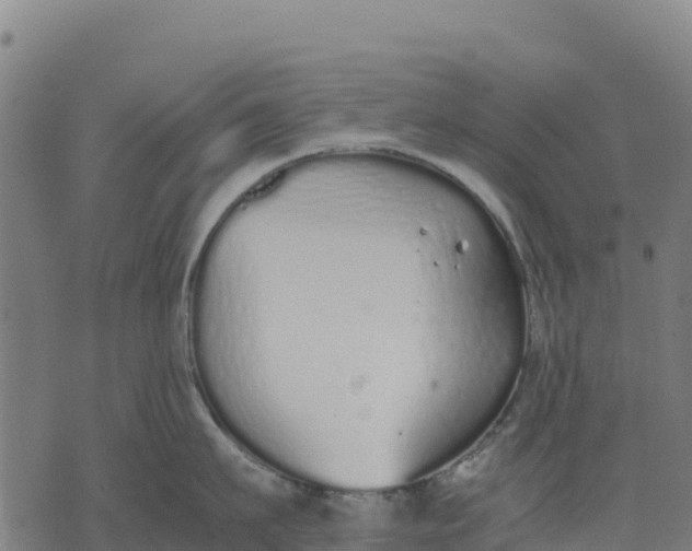 X0000070380911200606231709