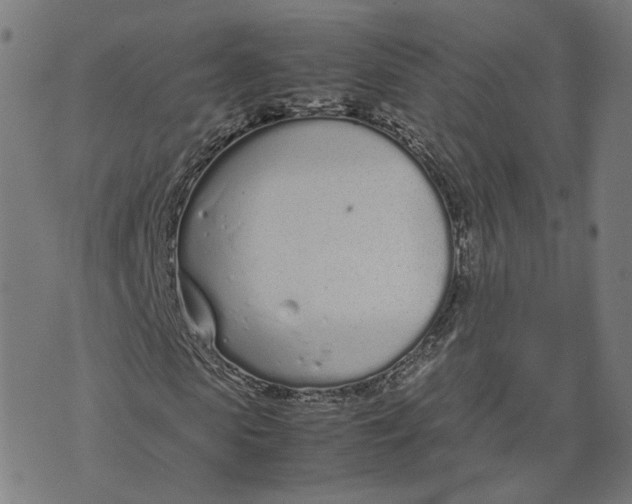 X0000070380913200606231708