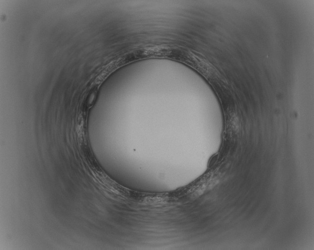 X0000070380914200606231708