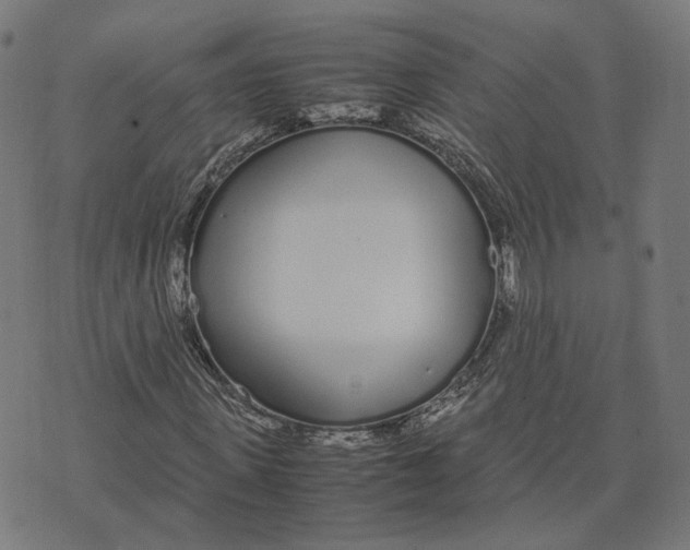 X0000070380915200606231708