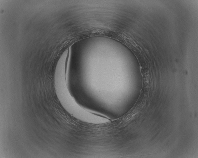 X0000070380916200606231708