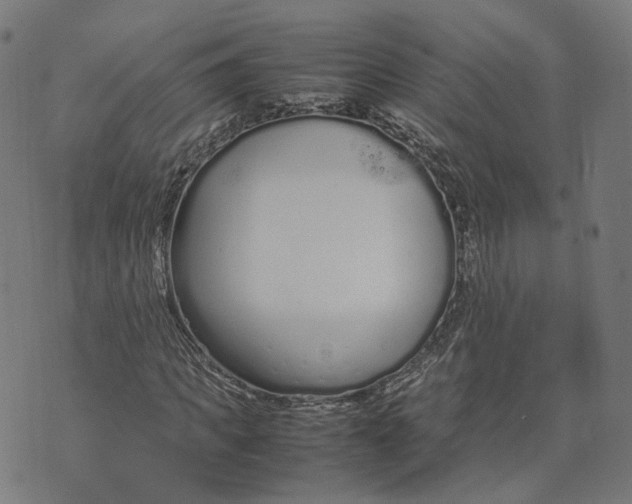 X0000070380917200606231708