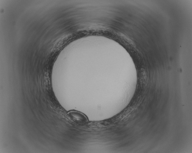 X0000070380918200606231708