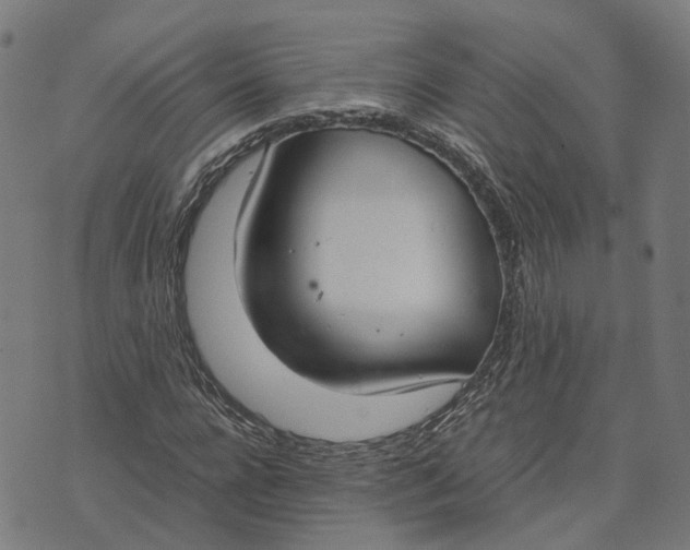 X0000070380920200606231708