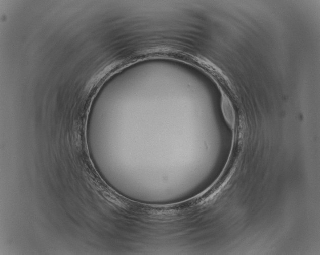 X0000070380921200606231708