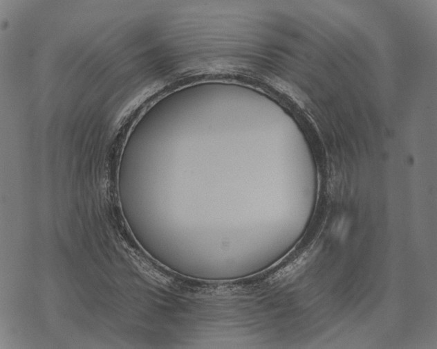 X0000070380922200606231708