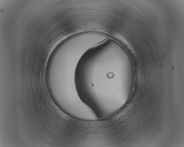 X0000070380924200606231708