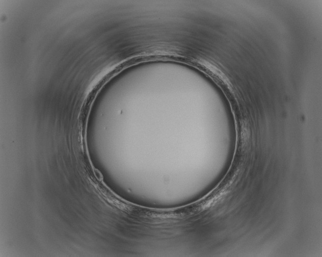 X0000070380925200606231708