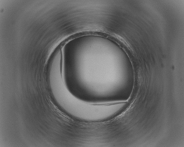 X0000070380926200606231708