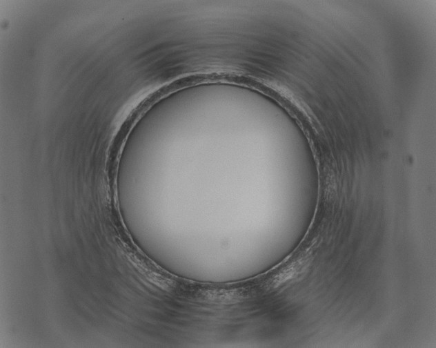 X0000070380927200606231708