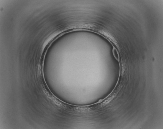 X0000070380928200606231708