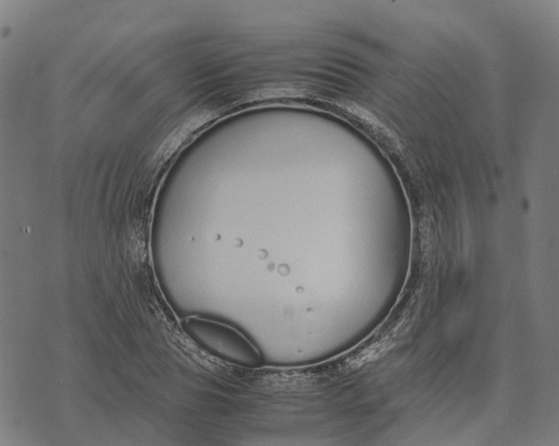 X0000070380929200606231708