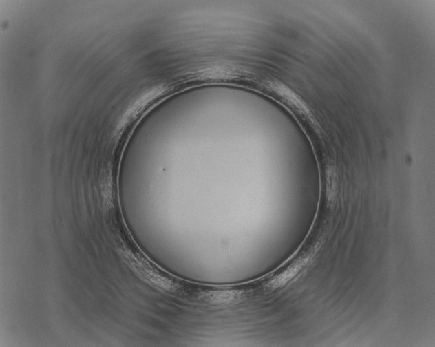 X0000070380930200606231708