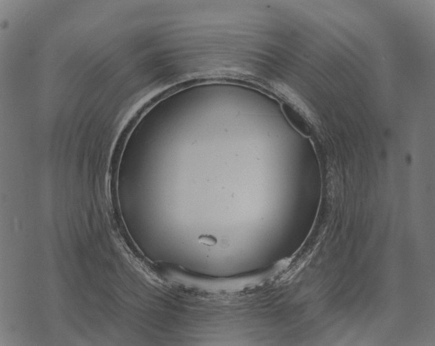 X0000070380932200606231709