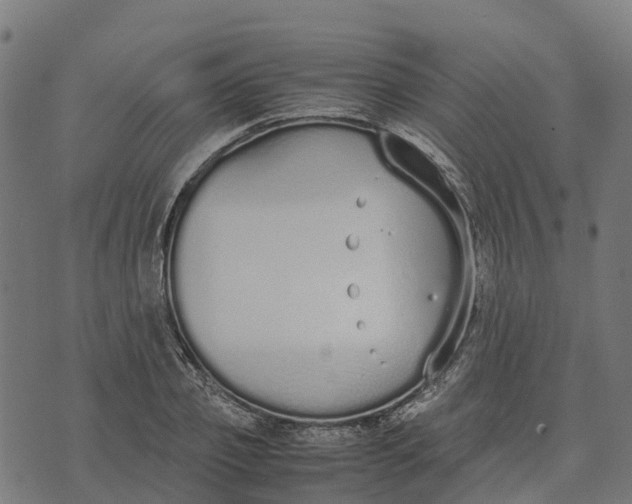 X0000070380933200606231709