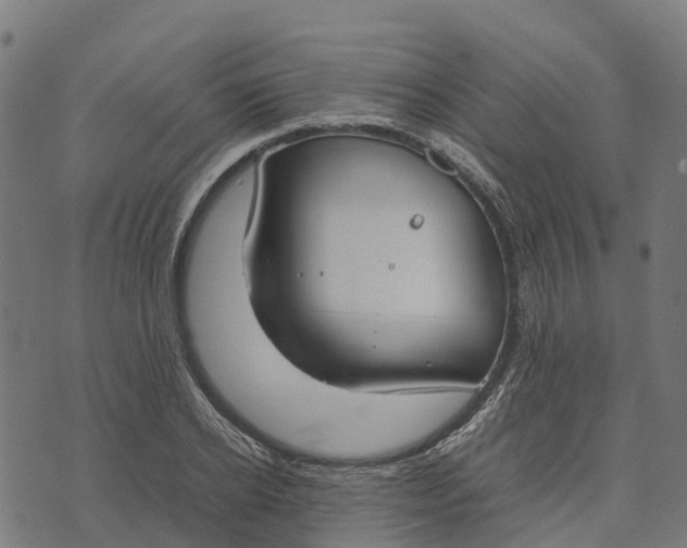 X0000070380934200606231709