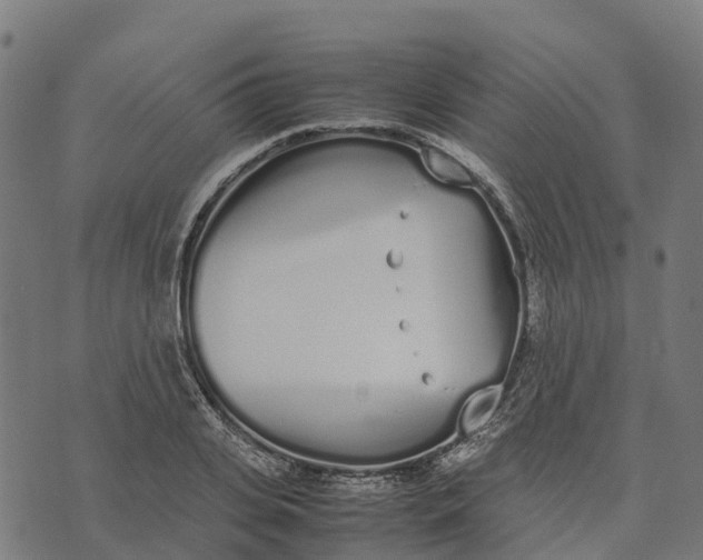 X0000070380935200606231709