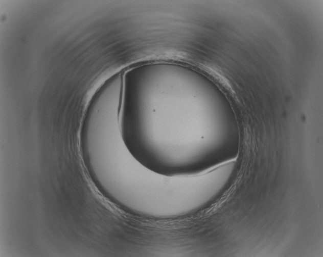 X0000070380936200606231709