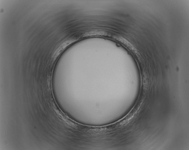 X0000070380937200606231709