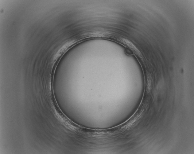 X0000070380938200606231709